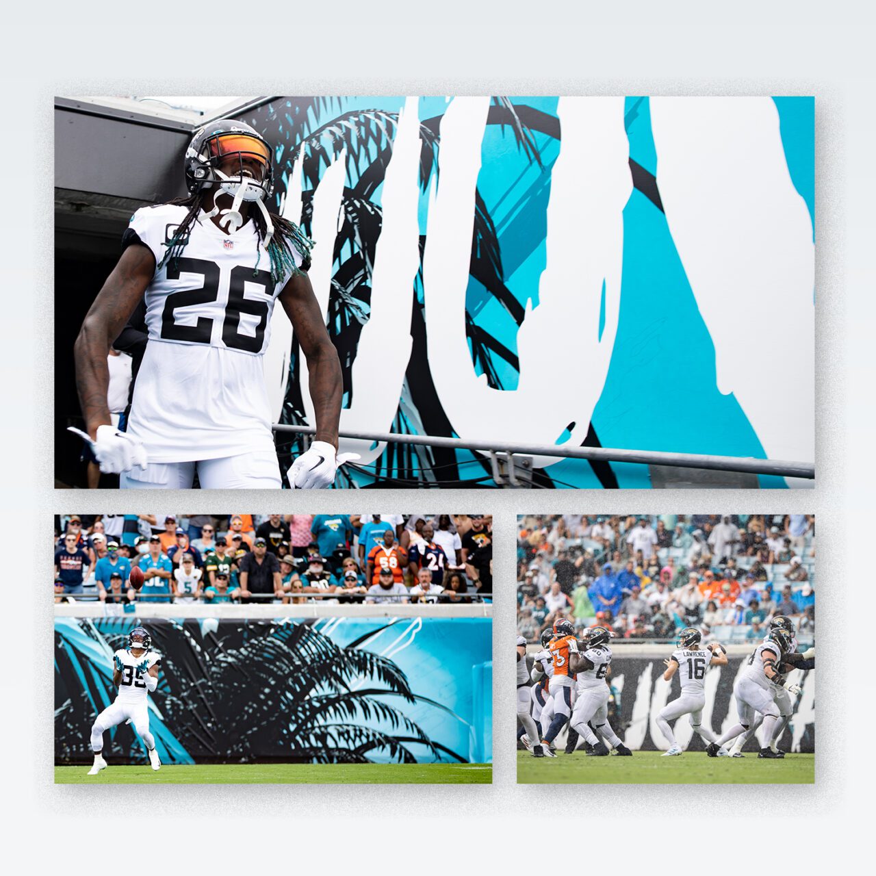 Jaguars stadium wall designs